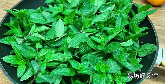 薄荷叶:全身是宝的菜,6月遇到抓紧吃,鲜香美味,营养极高