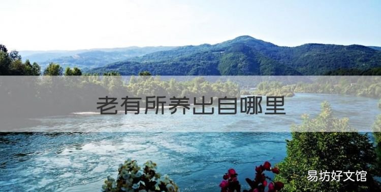 老有所养出自哪里