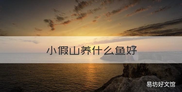 流水假山图片,小假山养什么鱼好