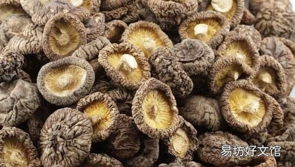 香菇的蛋白质含量高吗