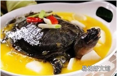 吃甲鱼有什么作用吗 甲鱼的功效与作用