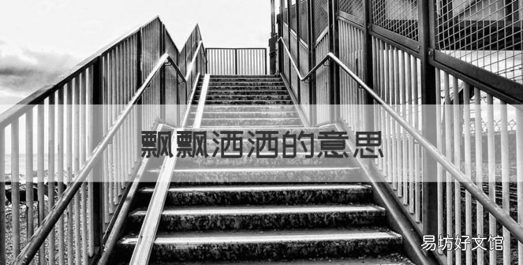 飘飘洒洒的意思
