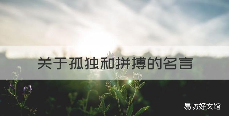 关于孤独的名言，关于孤独和拼搏的名言