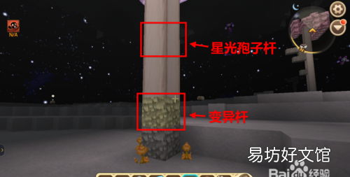 迷你世界透明公仔怎么变色,迷你世界中的星光孢子怎么变色