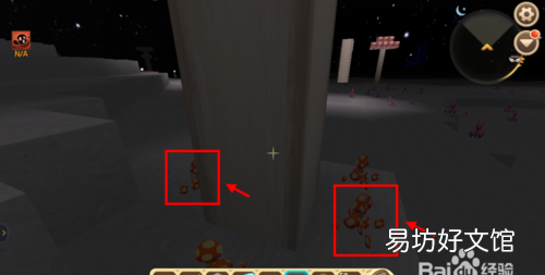 迷你世界透明公仔怎么变色,迷你世界中的星光孢子怎么变色