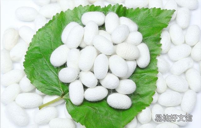 睡蚕丝被的八大好处 蚕丝被的功效与作用