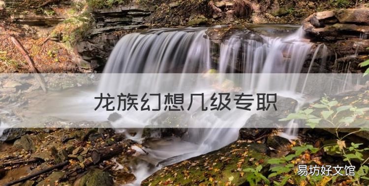 龙族幻想几级专职,龙族幻想选什么职业好