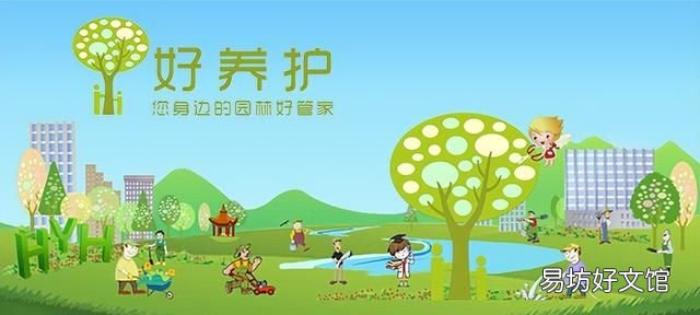 荷花的十大最美雅称,你最爱哪一个品种
