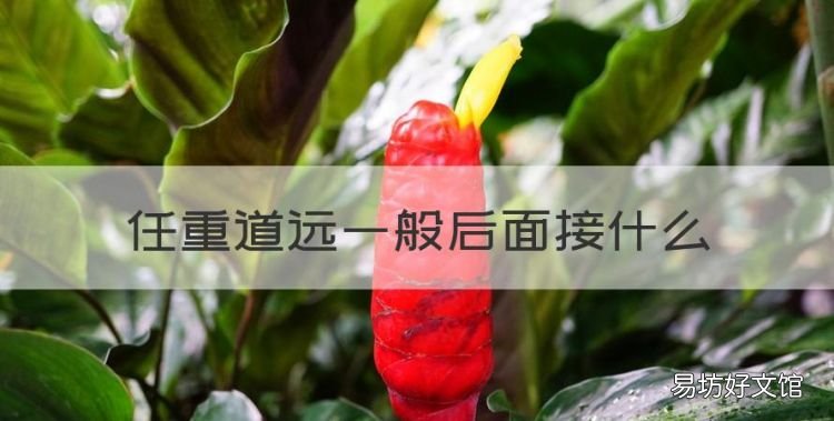任重道远一般后面接什么,路漫漫任重道远下一句接什么