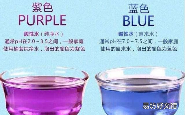 泡黑枸杞用多少度的水：为什么黑枸杞泡水会变颜色？