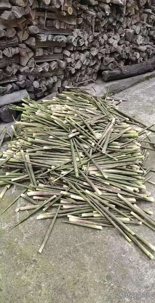 新鲜竹笋怎么冰箱保存,新鲜小竹笋怎样保存最好