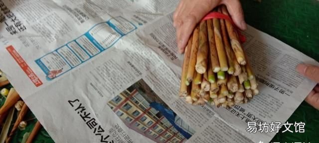 新鲜竹笋怎么冰箱保存,新鲜小竹笋怎样保存最好