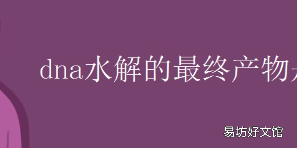 dna彻底水解后的产物有几种