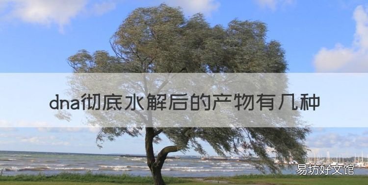 dna彻底水解后的产物有几种