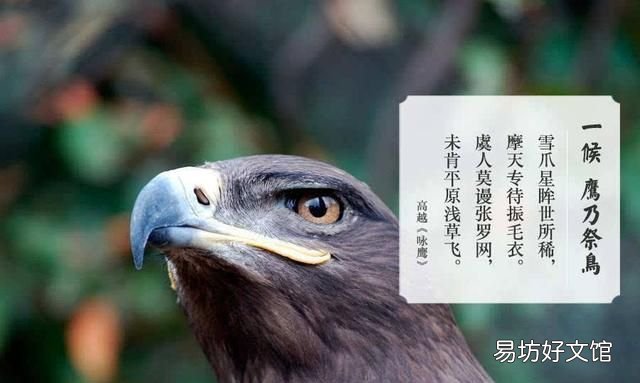 处暑三候的意思,处暑三候是什么