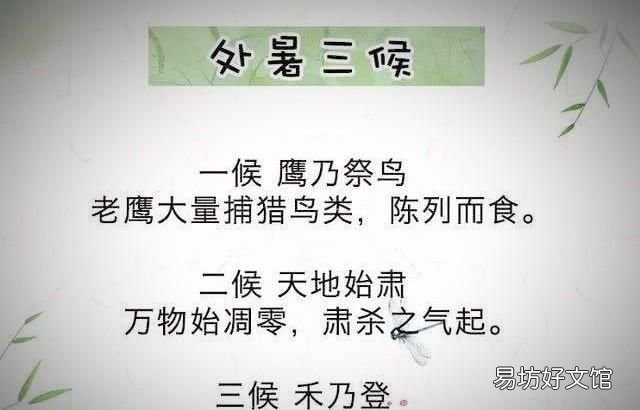 处暑三候的意思,处暑三候是什么
