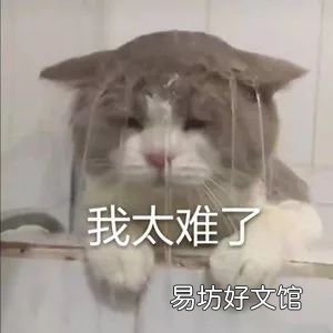 皇室战争一键满级的代码 皇室战争满级卡牌破解版