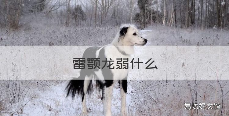 雷颚龙弱什么,飞雷龙弱什么属性