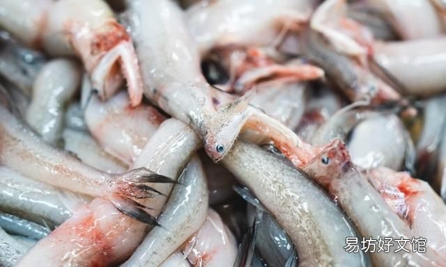 扒皮鱼有刺没有:十种海鱼没有细刺、小刺、小刺、小刺、肉质鲜嫩