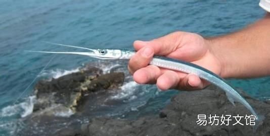 扒皮鱼有刺没有:十种海鱼没有细刺、小刺、小刺、小刺、肉质鲜嫩