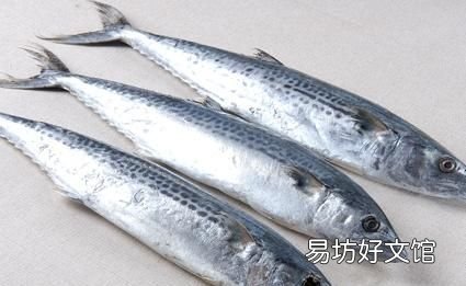 扒皮鱼有刺没有:十种海鱼没有细刺、小刺、小刺、小刺、肉质鲜嫩