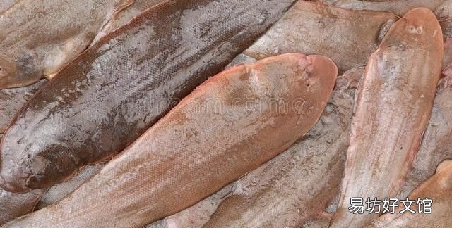扒皮鱼有刺没有:十种海鱼没有细刺、小刺、小刺、小刺、肉质鲜嫩