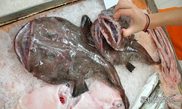 扒皮鱼有刺没有:十种海鱼没有细刺、小刺、小刺、小刺、肉质鲜嫩