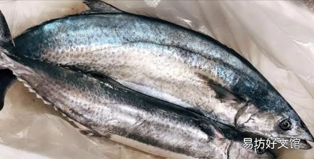 扒皮鱼有刺没有:十种海鱼没有细刺、小刺、小刺、小刺、肉质鲜嫩