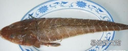 扒皮鱼有刺没有:十种海鱼没有细刺、小刺、小刺、小刺、肉质鲜嫩
