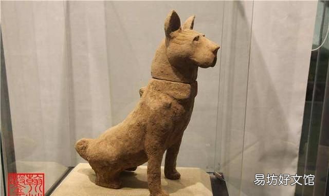 从古墓中出土的明器看,古人都饲养了哪些动物作为家畜