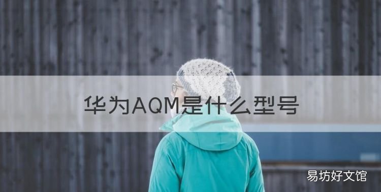 华为AQM是什么型号,aqm-al00是华为什么型号手机