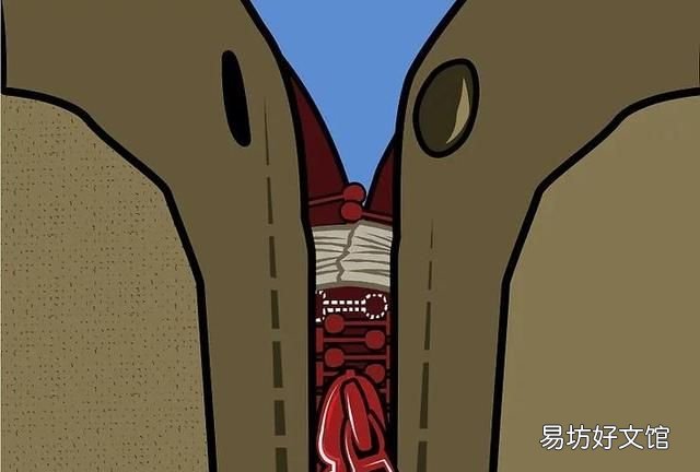 拉链头布头烂了怎么办：拉锁怎么办？