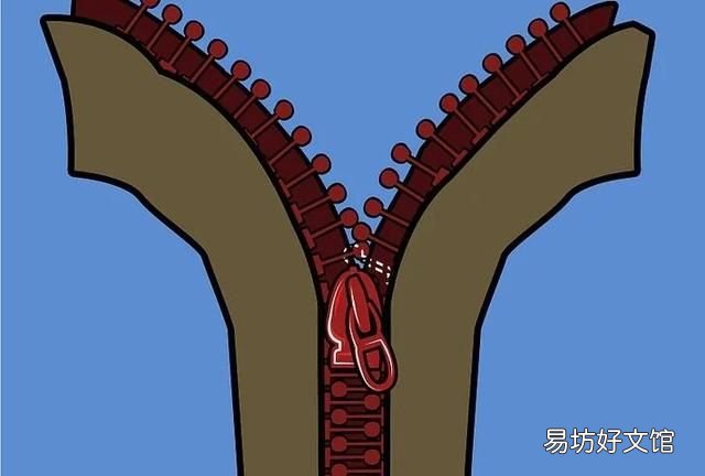 拉链头布头烂了怎么办：拉锁怎么办？