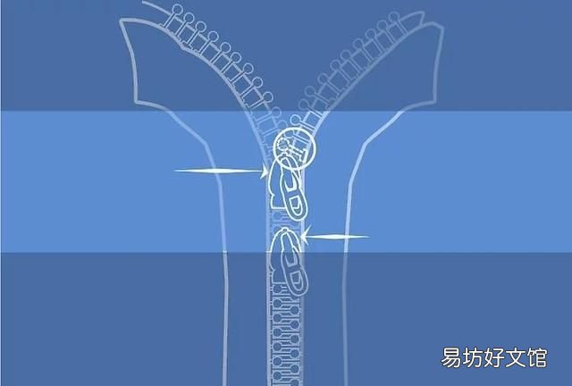 拉链头布头烂了怎么办：拉锁怎么办？