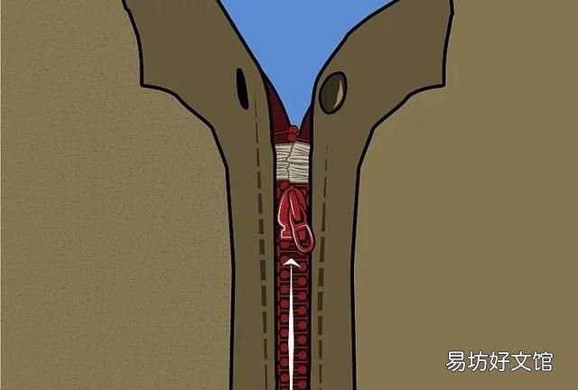 拉链头布头烂了怎么办：拉锁怎么办？
