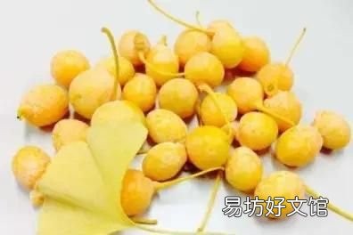 银杏果能生吃吗,新鲜的银杏果能生吃吗