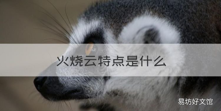 火烧云特点是什么，火烧云描述了什么特点