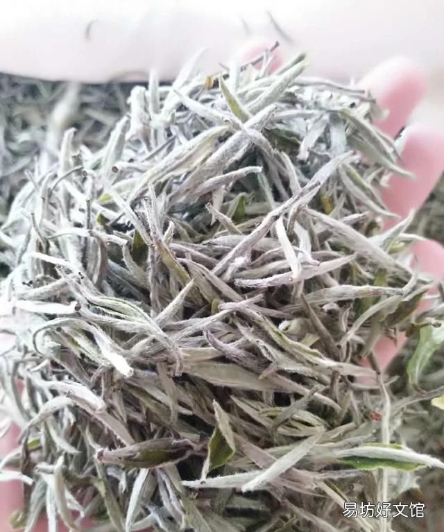如何挑选好的白茶,如何挑选好品质的山药