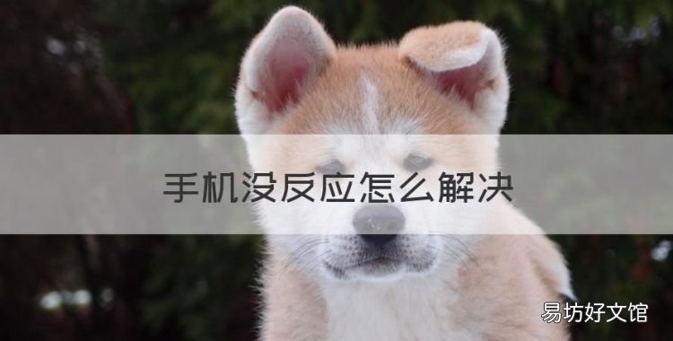 手机没反应怎么解决,手机屏幕失灵没反应怎么办