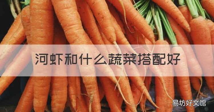 虾仁最佳搭配蔬菜,河虾和什么蔬菜搭配好