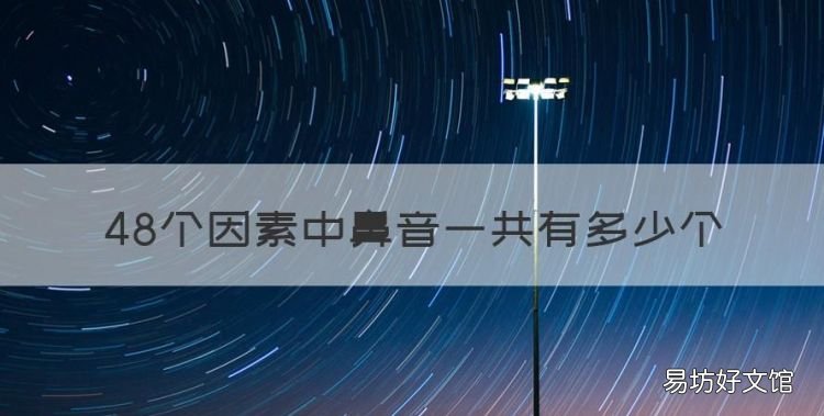 48个国际音标表,48个因素中鼻音一共有多少个