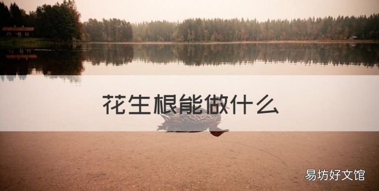 花生根能做什么,花生根炖汤是湿根还是干根好