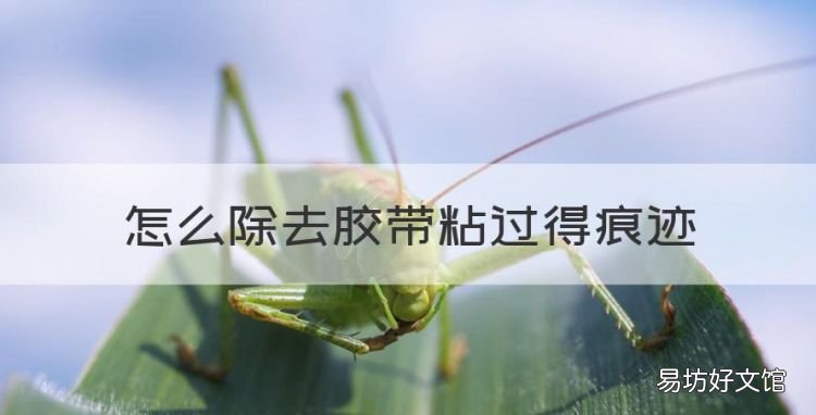 如何去除胶带残留的胶,怎么除去胶带粘过得痕迹
