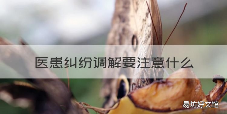 医患纠纷调解要注意什么