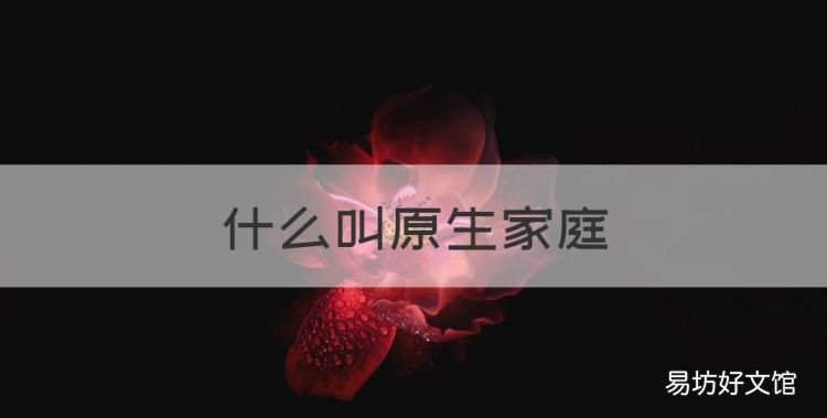 什么叫原生家庭,原生家庭是什么意思