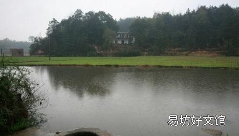 鱼池坑底臭了怎么办