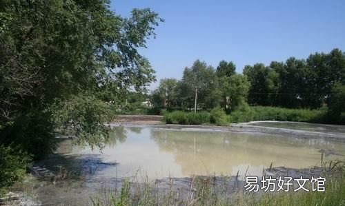 鱼池坑底臭了怎么办