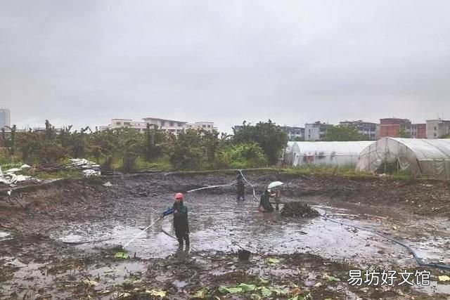 鱼池坑底臭了怎么办