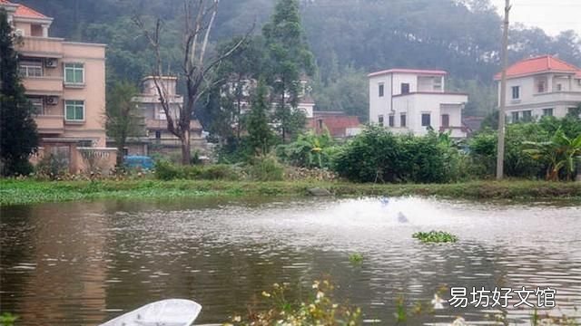 鱼池坑底臭了怎么办