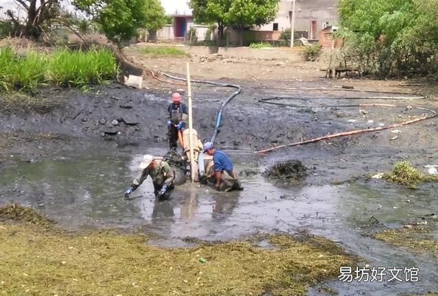 鱼池坑底臭了怎么办